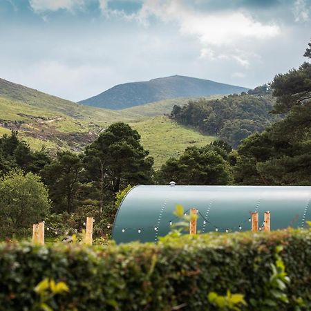 Further Space At Leitrim Lodge Luxury Glamping Pods Mourne Mountains Newcastle  Ngoại thất bức ảnh